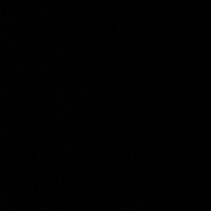 Meet your Posher, Asiah